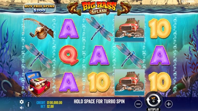 Overview of big bass splash casino